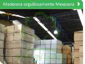 maderas mexicanas