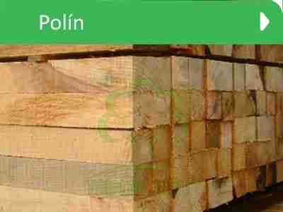 precio de polín