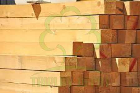 precio de polines de madera de pino