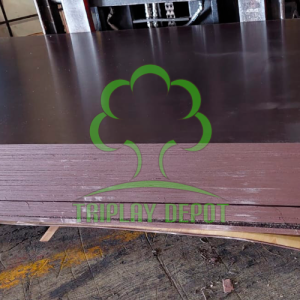 Triplay Birch Hdo