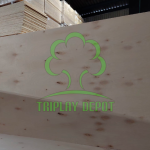 Triplay Birch Abedul