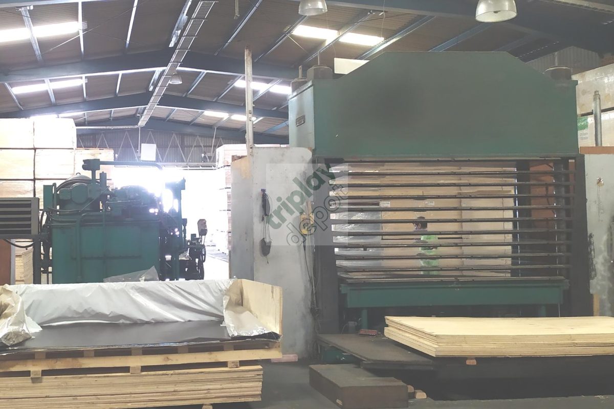 Área de prensado y almacenamiento de triplay fenólico en la bodega de Triplay Depot