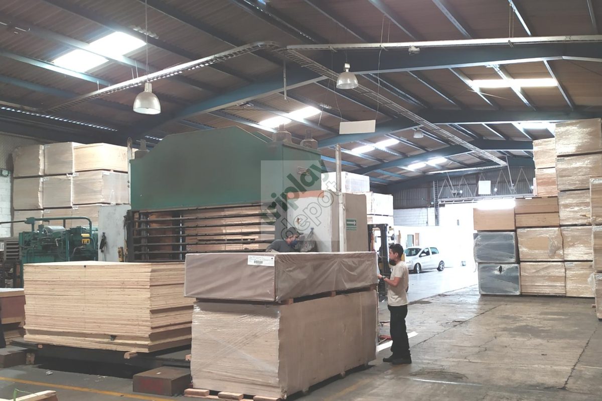 Inventario masivo de triplay y maderas para venta al mayoreo en Triplay Depot