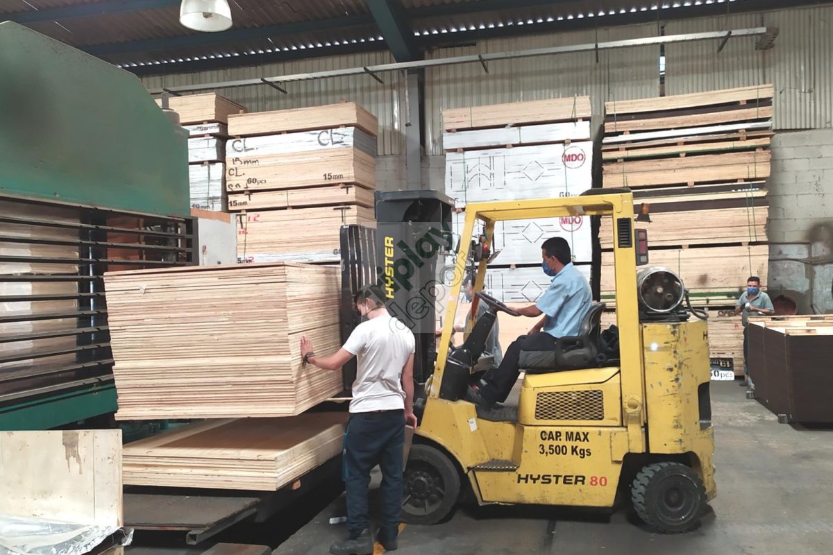 Proceso de prensado de triplay fenólico de alta densidad en Triplay Depot.ción en Sistemas de Cimbra