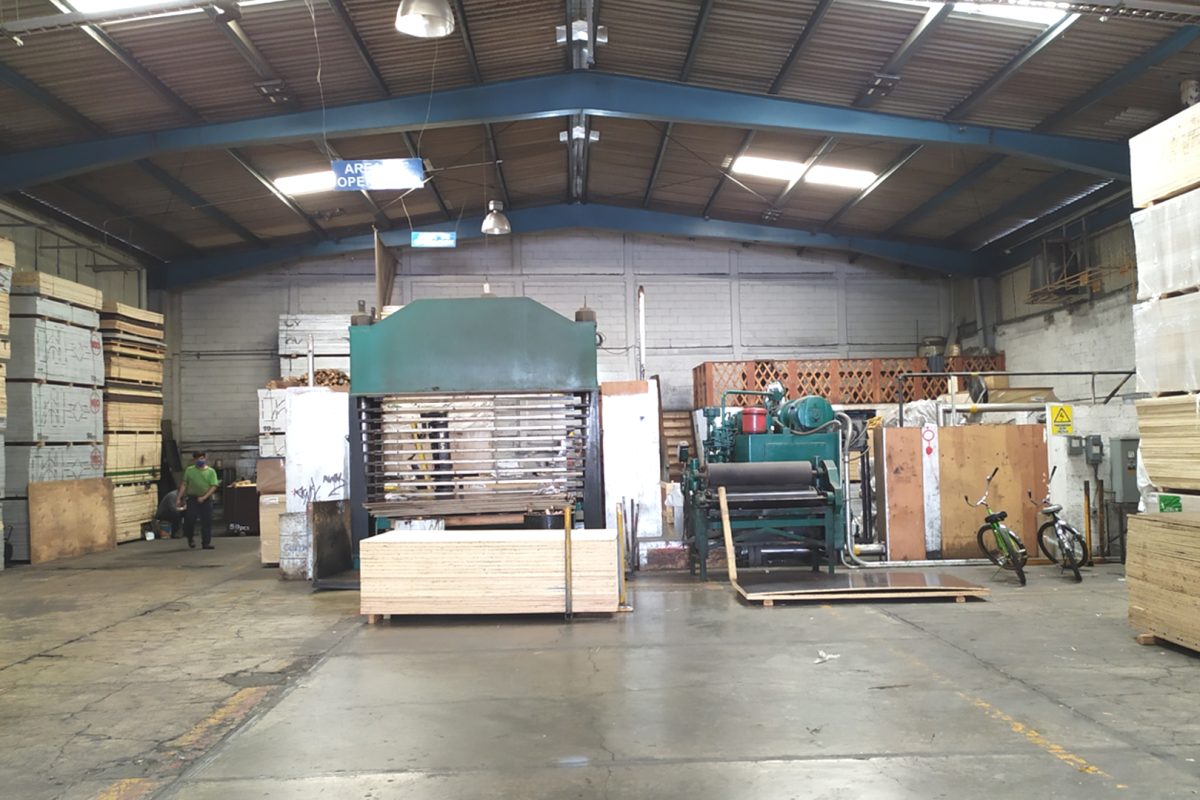 Proceso de prensado térmico para triplay fenólico de alta resistencia en Triplay Depot